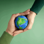 Greener Freight Forward: How Global CFS Champions Sustainable Logistics
