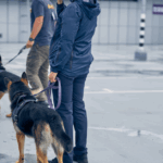 Cargo Screening, K9 Services, and CCSF: How Global CFS Keeps Air Freight Secure—and On Time